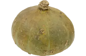 Pompoen Sweet Mama 3 a 4 kilo per
